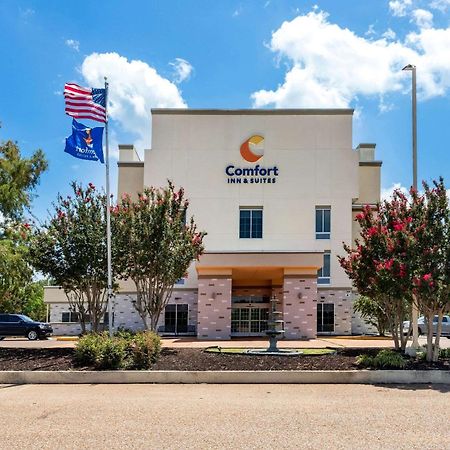 Comfort Inn & Suites Grenada Exterior foto